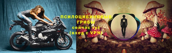 МДПВ Пролетарск