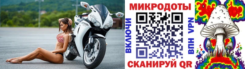 Псилоцибиновые грибы Psilocybe  Котельнич 